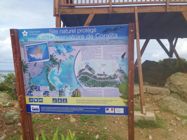 Gallery pic of Protected Natural Site Observatory of Carolita in Saint Martin, St. Martin, French West Indies with Star Island Tours